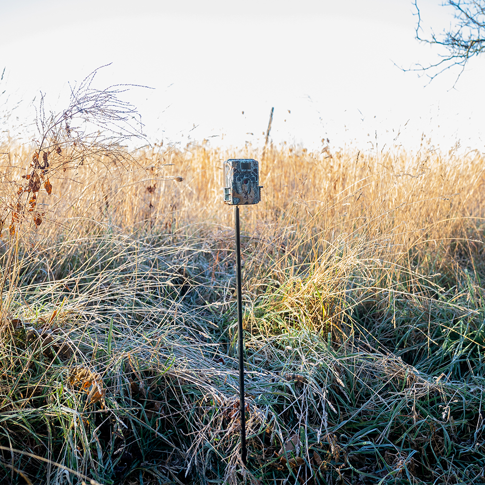 - Wehrs UNIVERSAL CAMERA STAKE