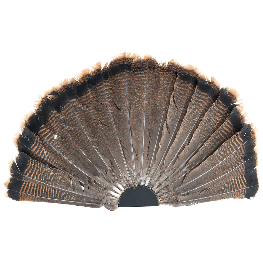 - Wehrs Turkey Fan Display Jig